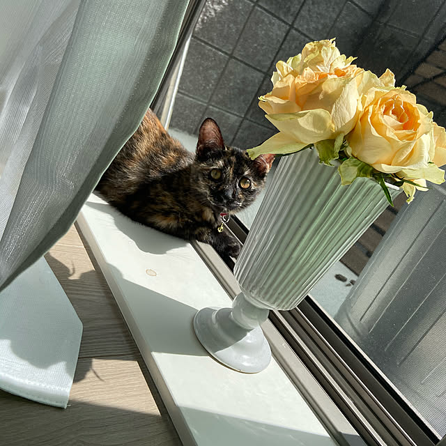 nanccccyさんの実例写真