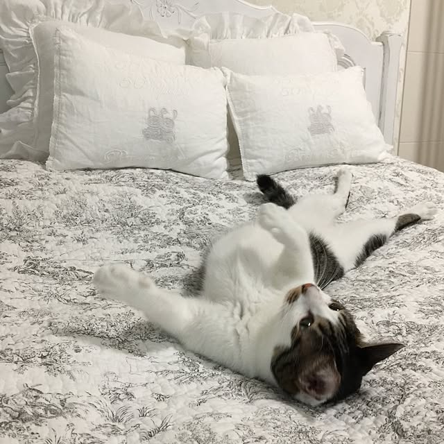 yuchiさんの実例写真