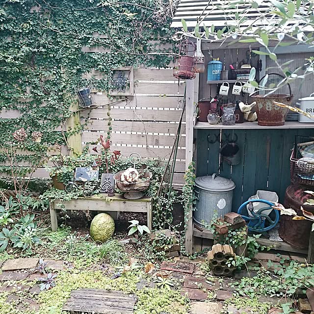 実例写真
