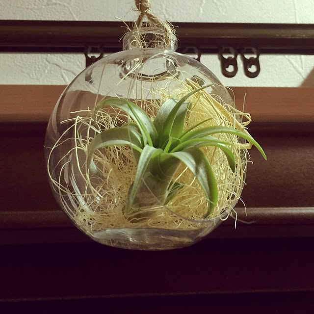 neuruさんの実例写真