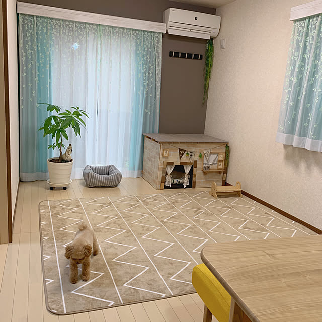 Samさんの実例写真
