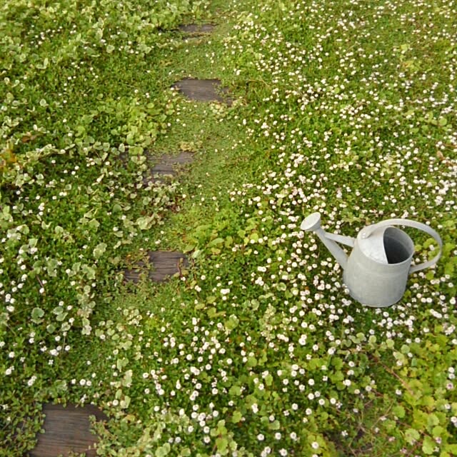 mayutan.さんの実例写真