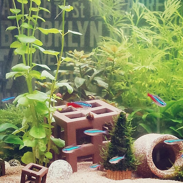 mieさんの実例写真