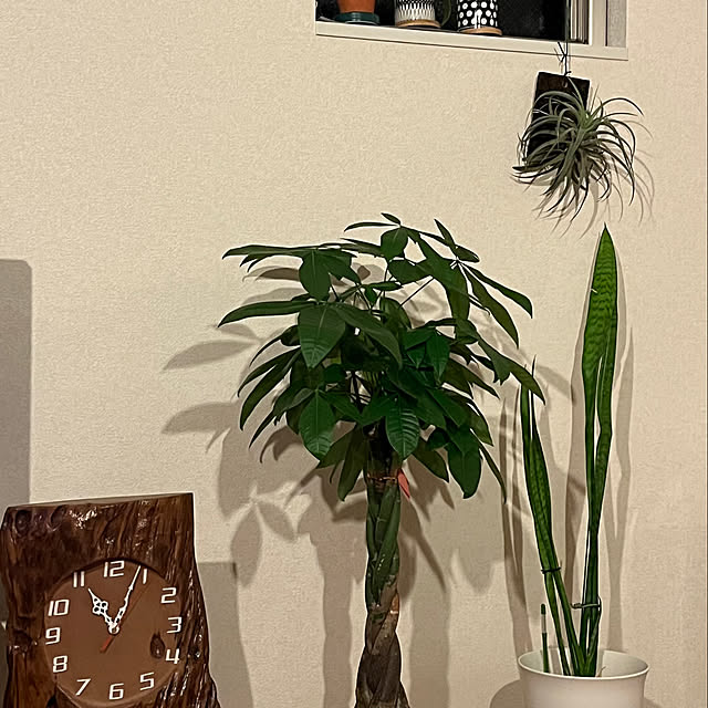 petapo1256さんの実例写真