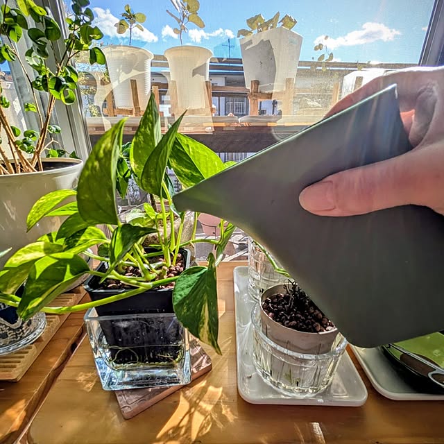 mi-saさんの実例写真