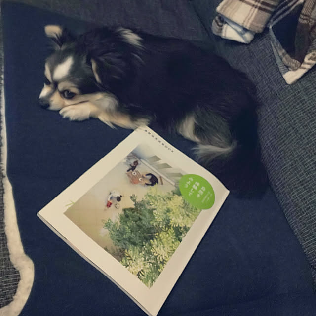 mizuさんの実例写真