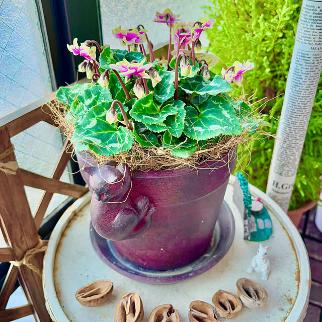 naokoさんの部屋