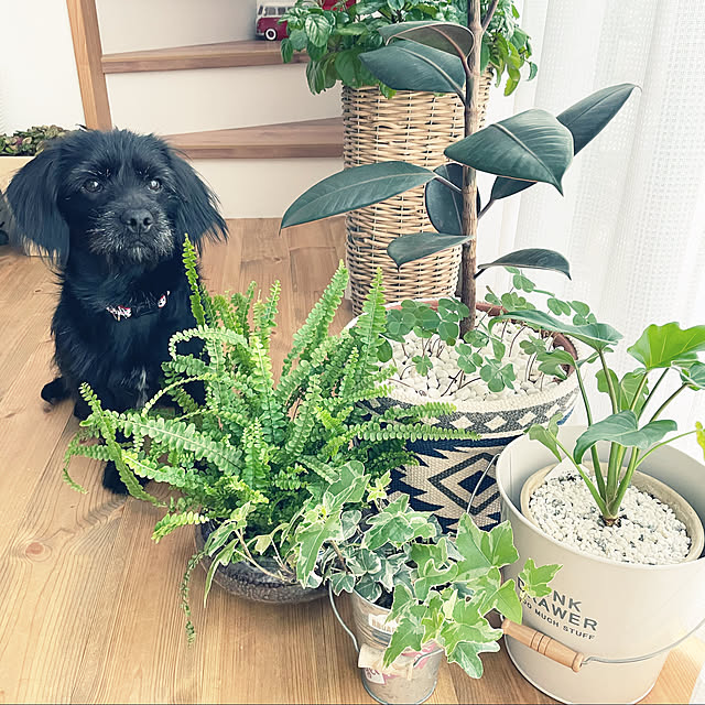 marinkoさんの実例写真