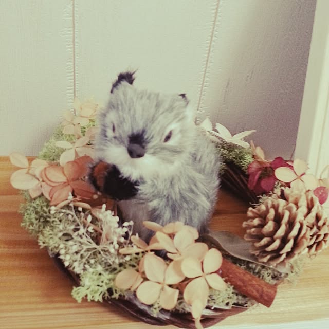 corocoroさんの実例写真