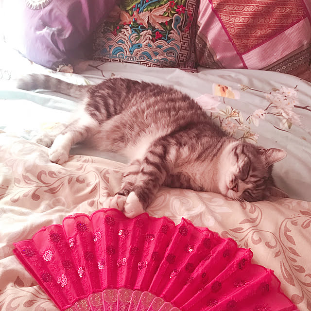 chrisさんの実例写真