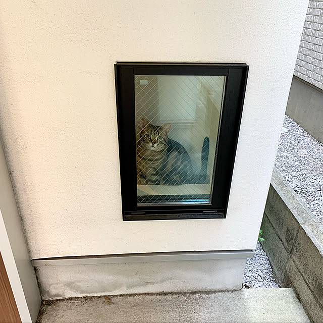 kaedeさんの実例写真