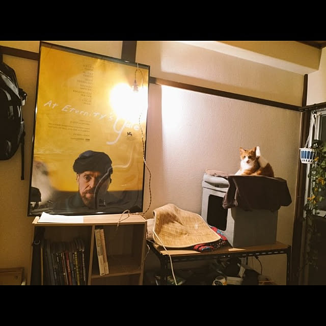 unkoさんの実例写真