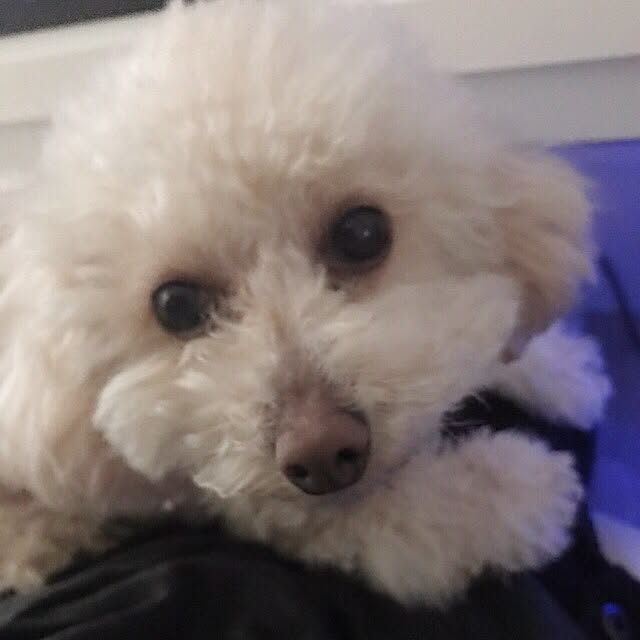 Rinさんの実例写真