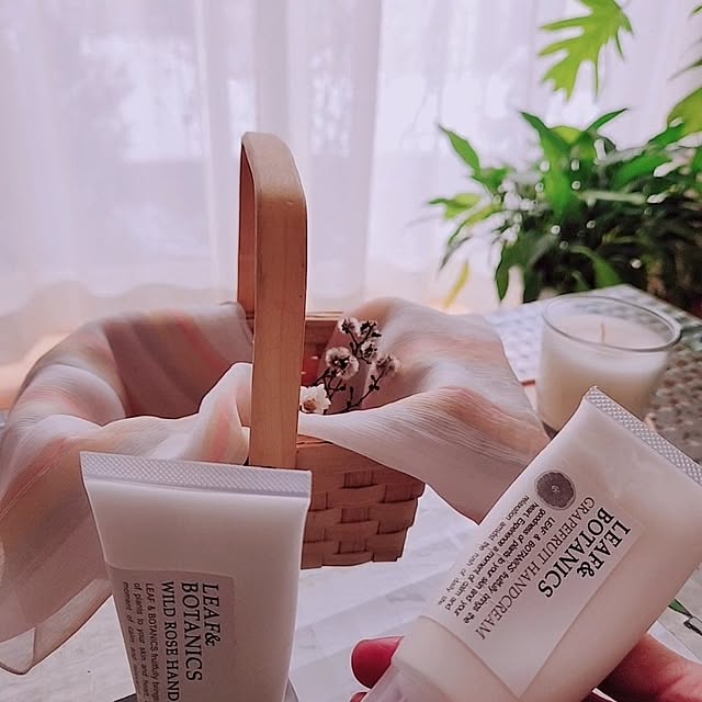 surviveさんの部屋