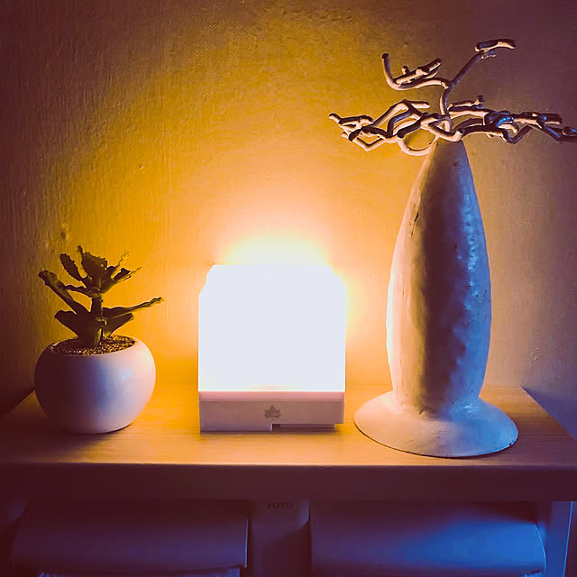 chacoさんの実例写真