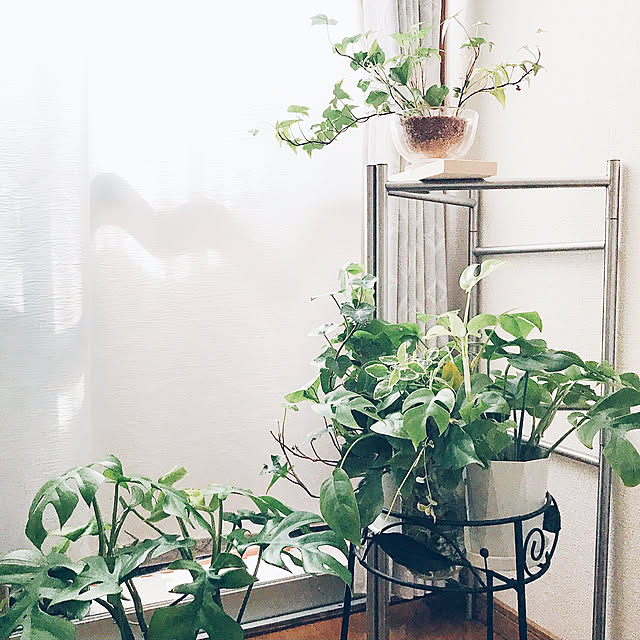 IKEA/DIY/観葉植物/リビングのインテリア実例 - 2019-04-15 12:29:41