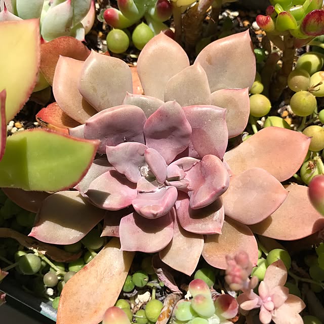 実例写真
