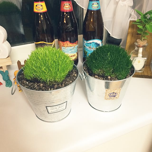 25abucoさんの実例写真