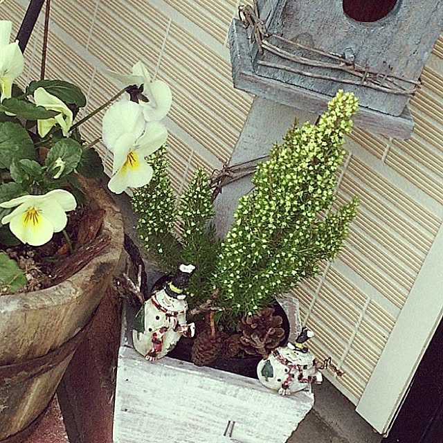 reoreomamaさんの実例写真