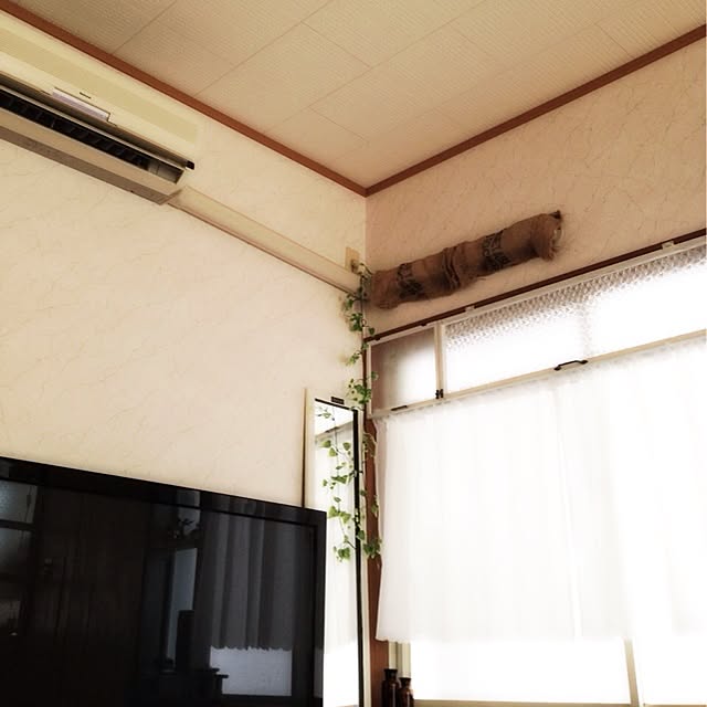 rookuさんの実例写真