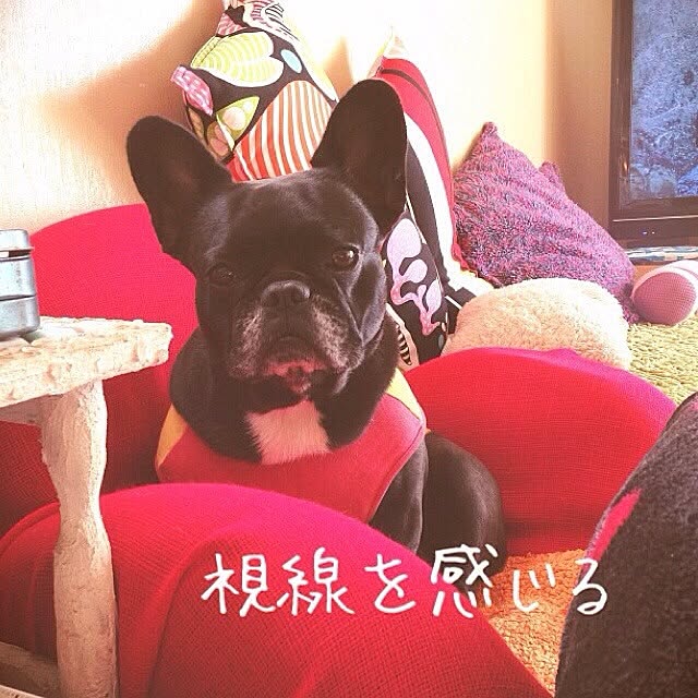 38coreさんの実例写真
