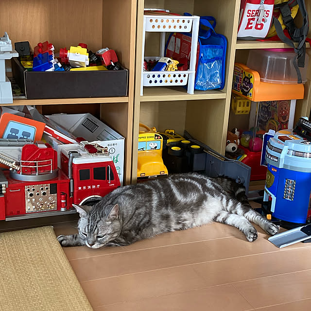 zabonzabonさんの実例写真