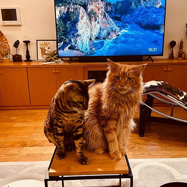 kabu10さんの実例写真