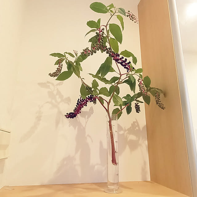 pomeさんの実例写真