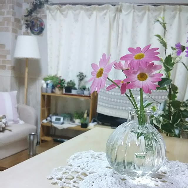 naopyiさんの実例写真