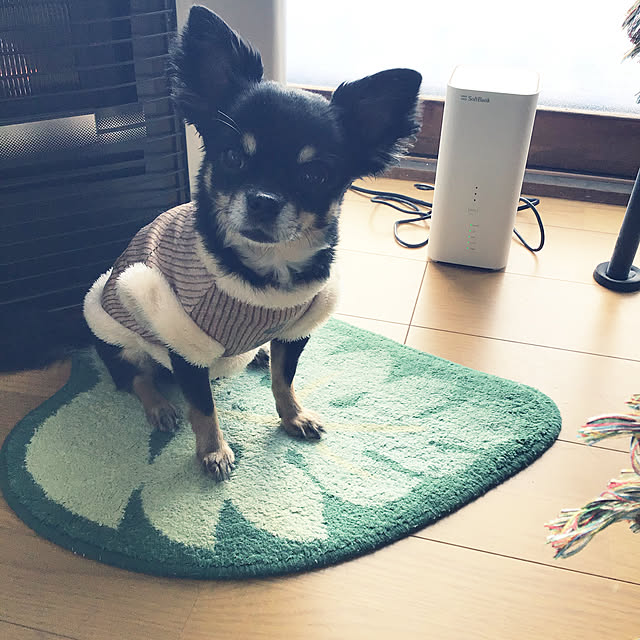sakuさんの実例写真