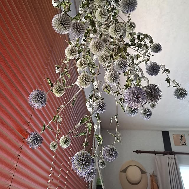 midoriさんの部屋