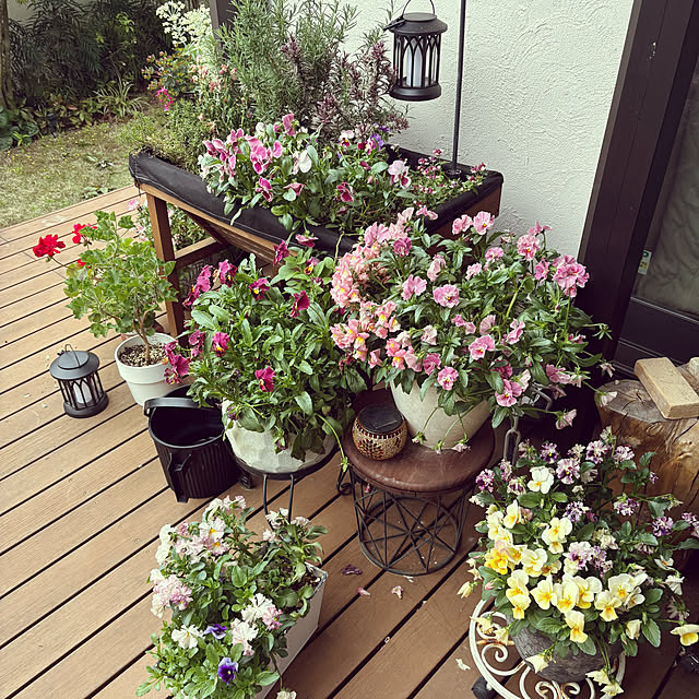 maimai0110さんの実例写真