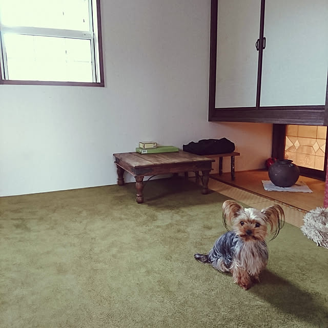 akiさんの実例写真