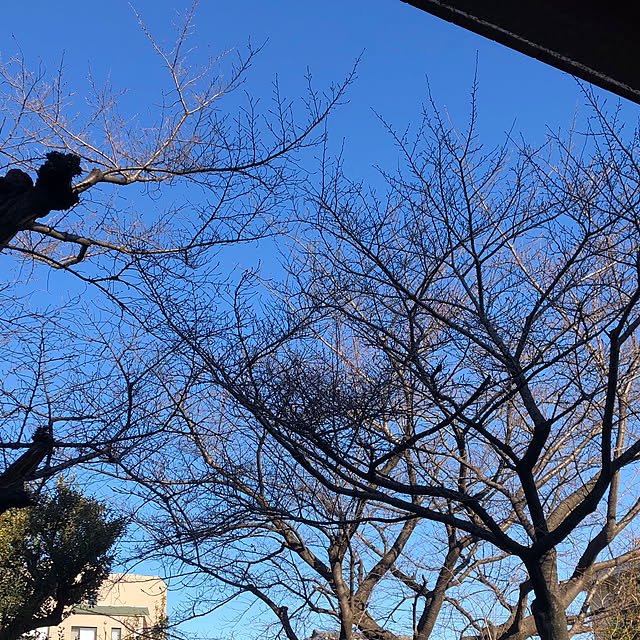 Chokoさんの実例写真