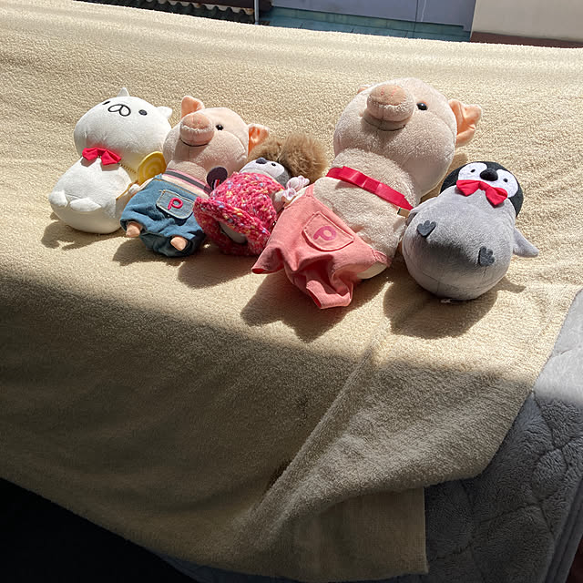 masaさんの実例写真