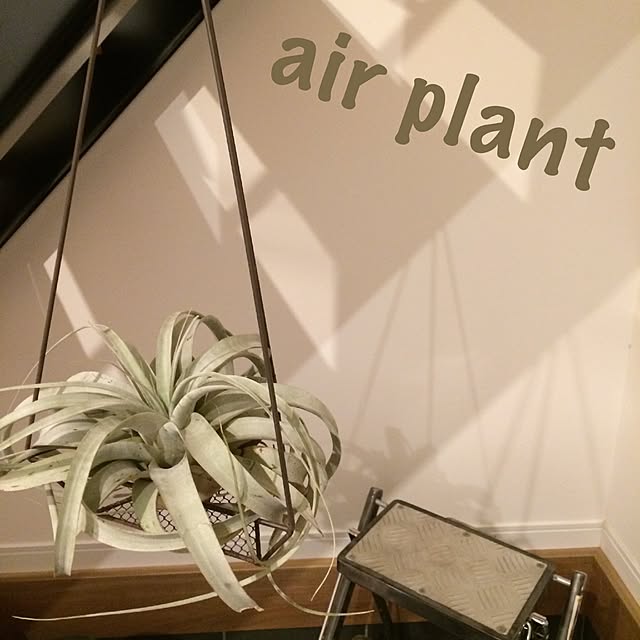 h-1o0さんの実例写真