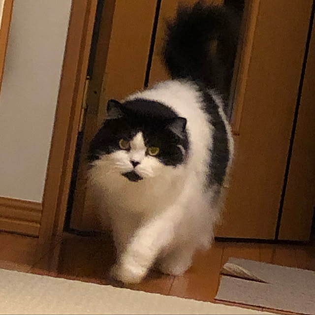 reonさんの実例写真