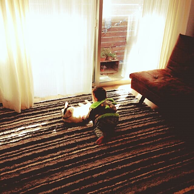 marueriさんの実例写真