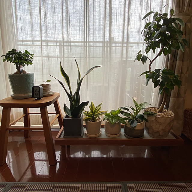 stさんの実例写真