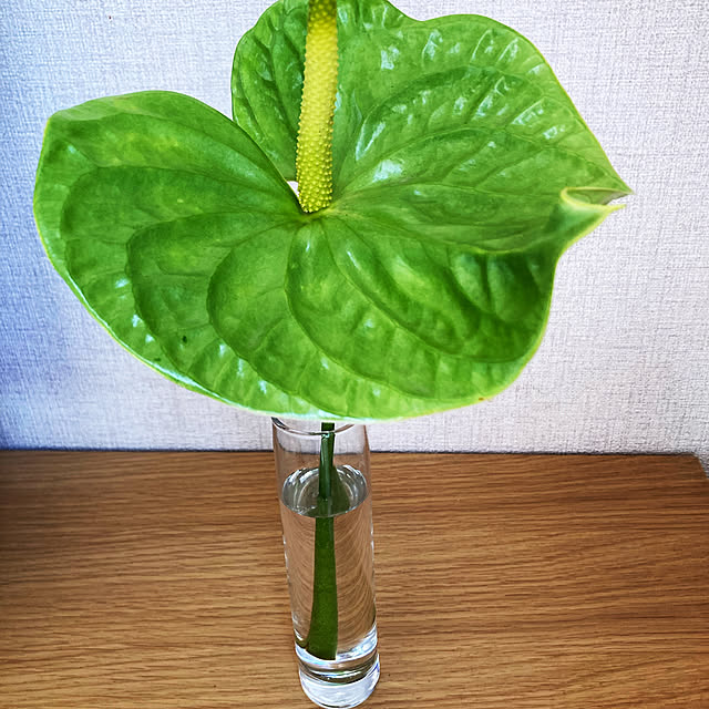 hiromiさんの実例写真