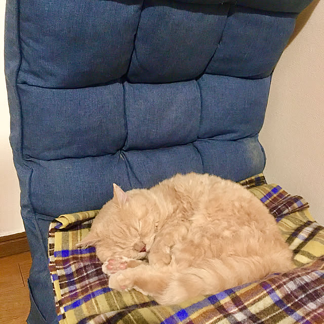 naokoさんの部屋