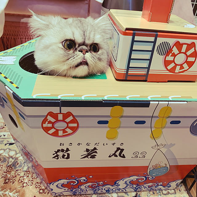 ryushinさんの実例写真