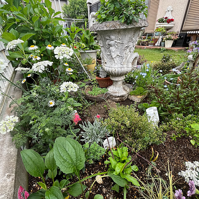dainaoreiさんの部屋