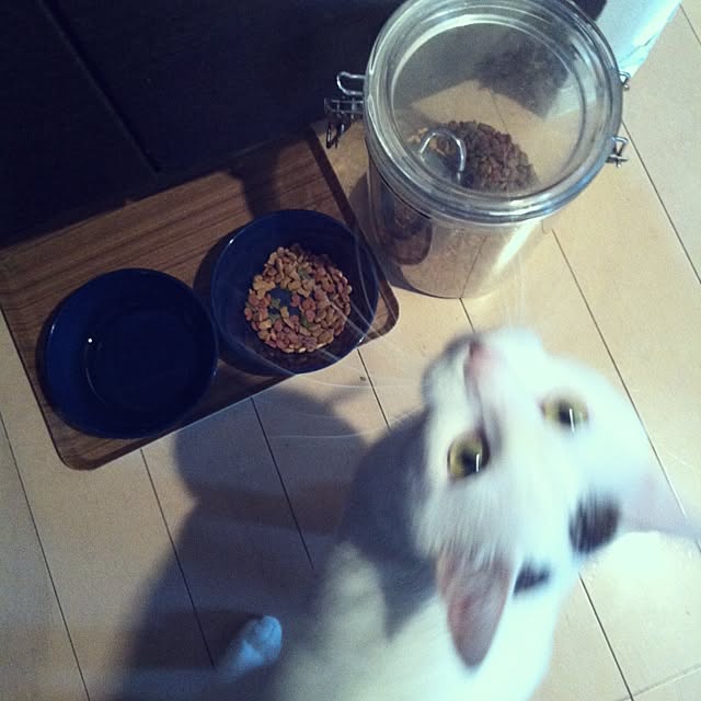 Toshikoさんの実例写真