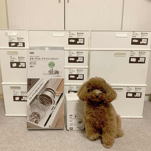 ISM.mumさんの実例写真