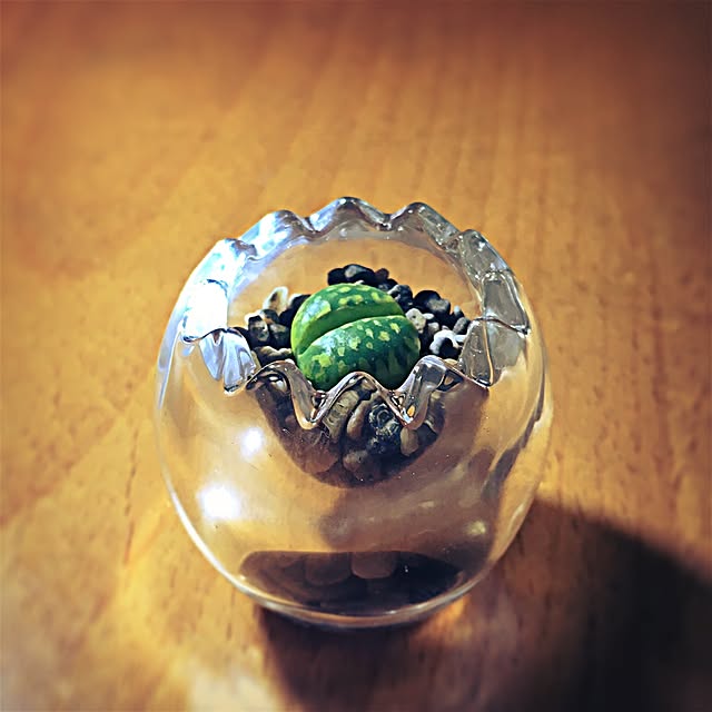 ramuchop3000さんの実例写真