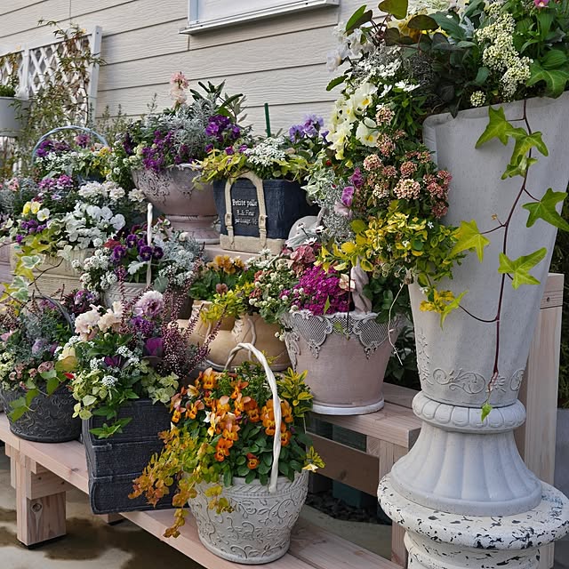 nonbiri_house_さんの部屋