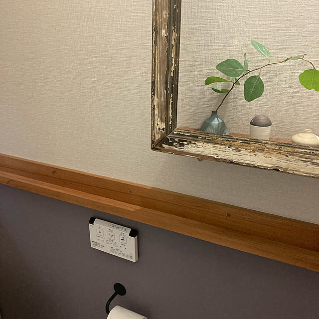 colorerさんの実例写真