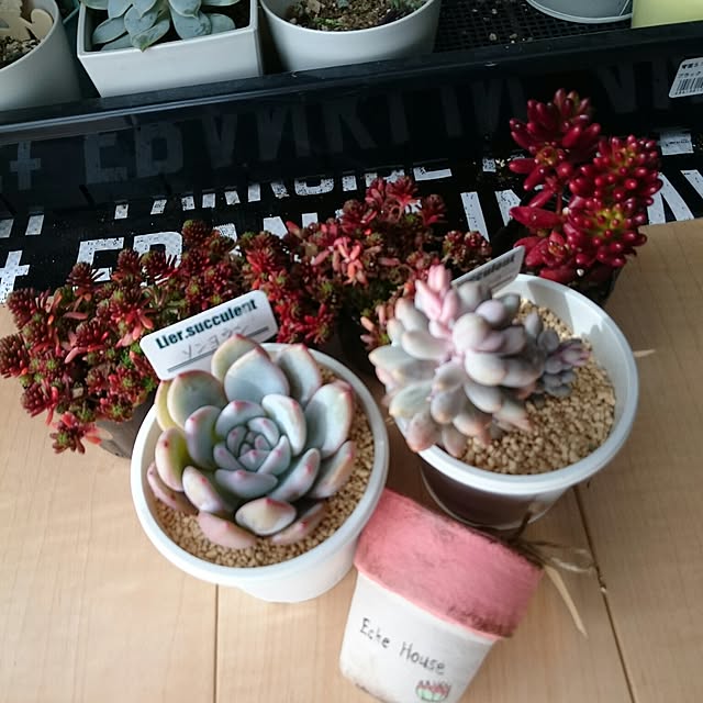 soaimさんの実例写真