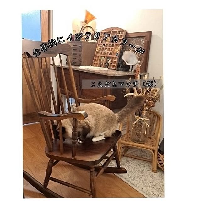 kankanmom_horn_5catsさんの部屋